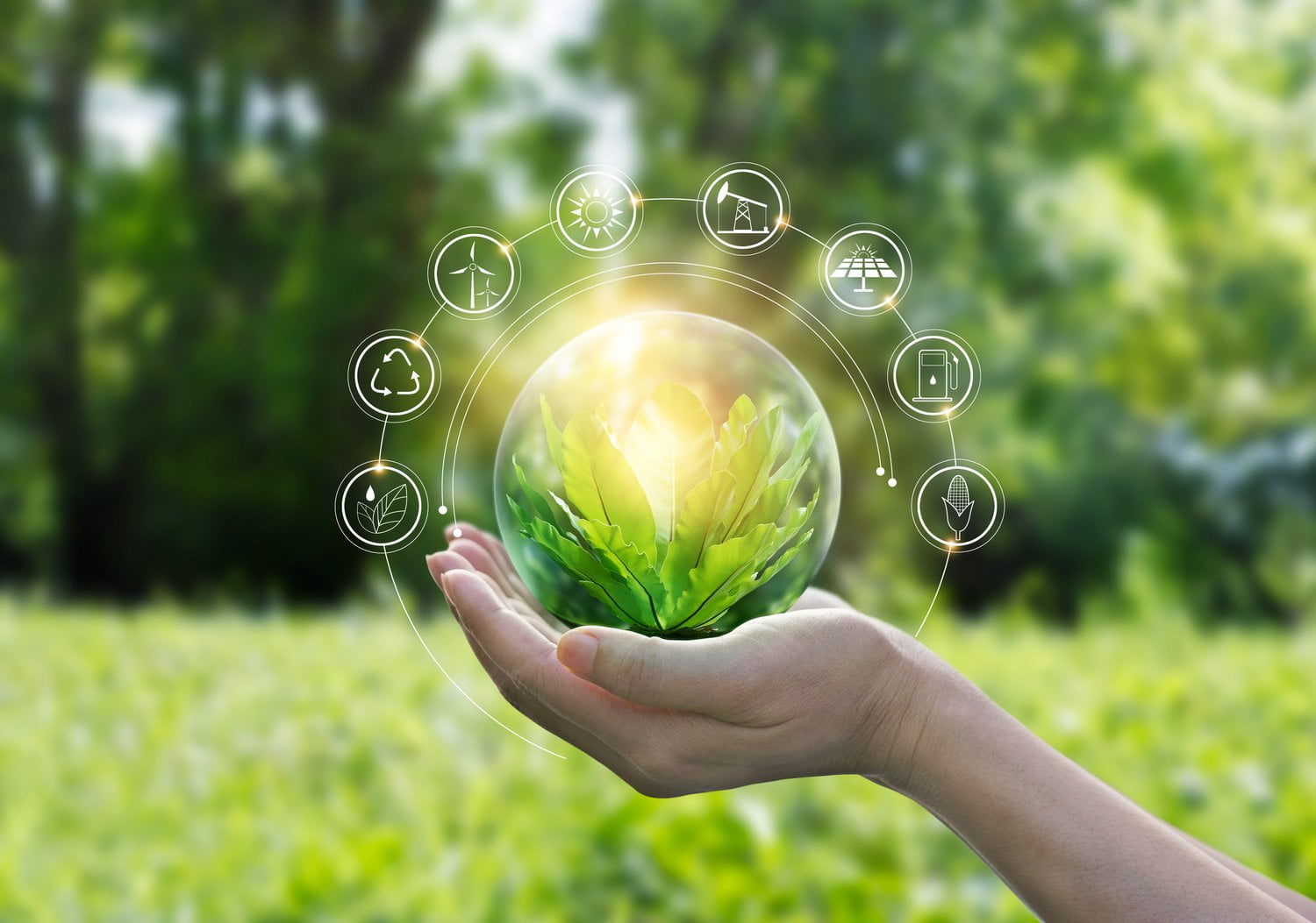 Organic_World